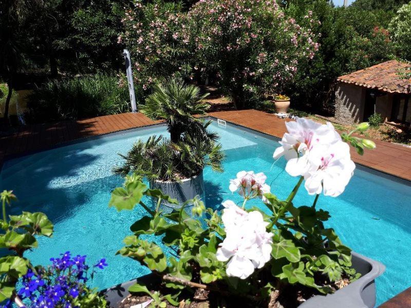 Casa9 Hotel Thuir Bagian luar foto